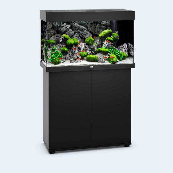 $1295 Juwel Rio 125L LED Black Aquarium & Cabinet Bulgarian Angel Fish Pair Carousel 1