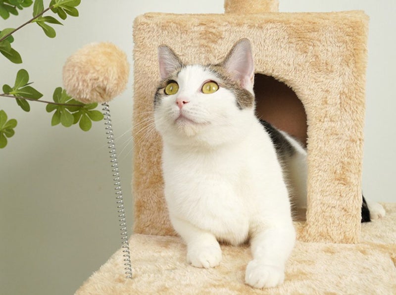 Cat Tree Tower Scratching Post Scratcher Condo House Furniture63654824066563112