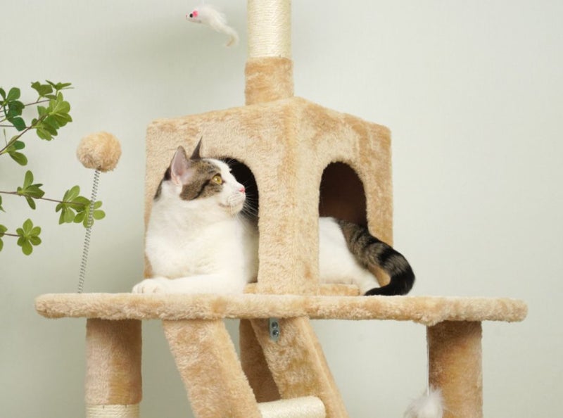 Cat Tree Tower Scratching Post Scratcher Condo House Furniture63654824066563114