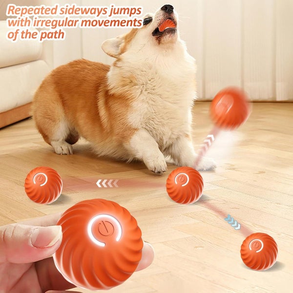 Interactive Dog Ball Toy Carousel 1