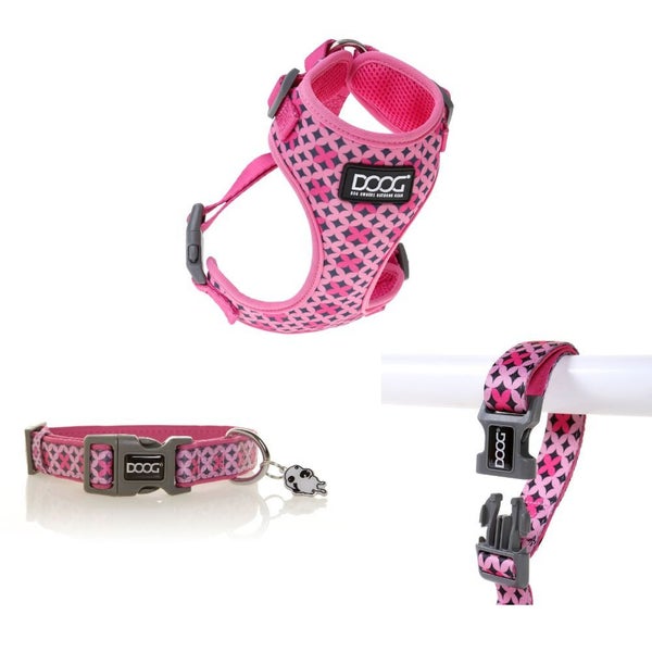 Toto Co-ordinates by DOOG Carousel 1