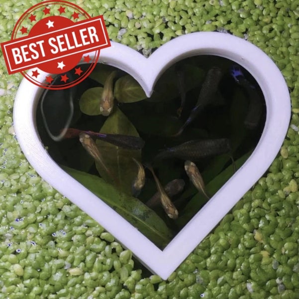 Heart Portal Feeding Ring Carousel 1