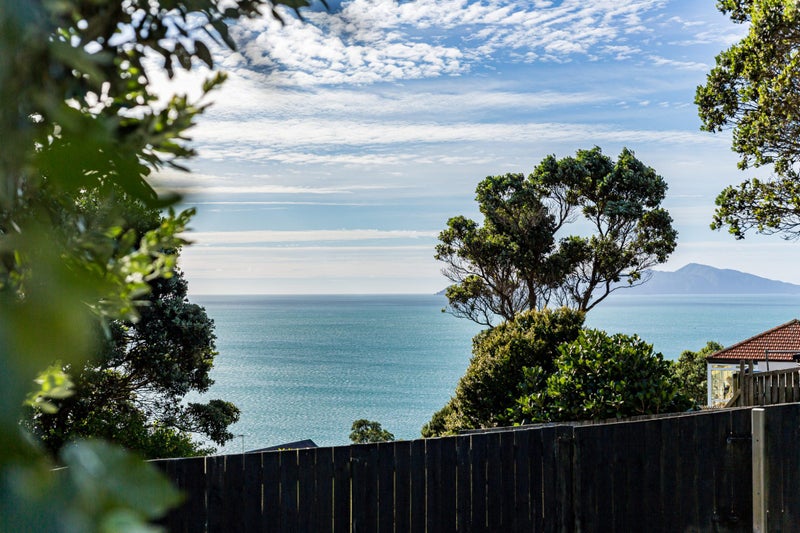 Image 1 of 44