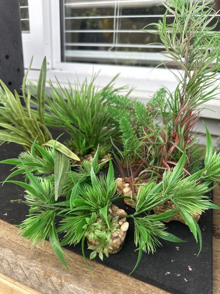Aquarium plants- larger Carousel 2