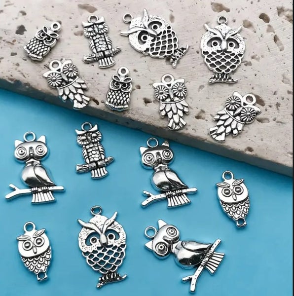 12pcs Owl Charms Mixed Sizes Mixed Designs - Antique SIlver Carousel 1
