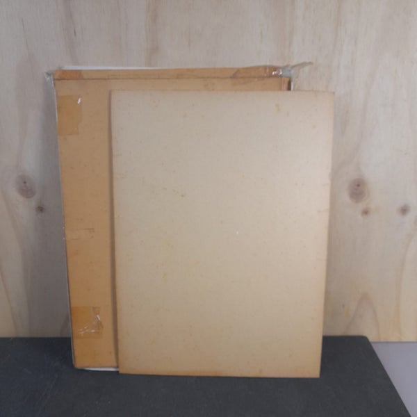 Vintage New Zealand Birds jigsaw, 100pc Carousel 4