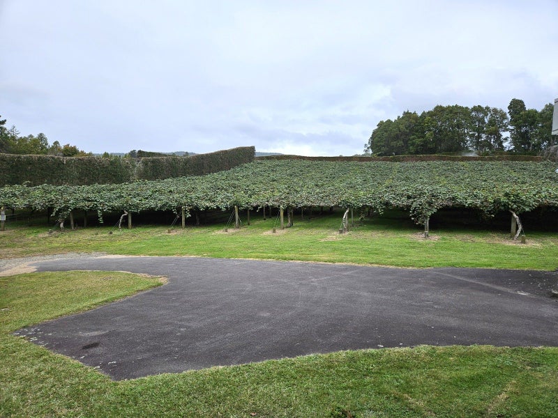Image 1 of 26