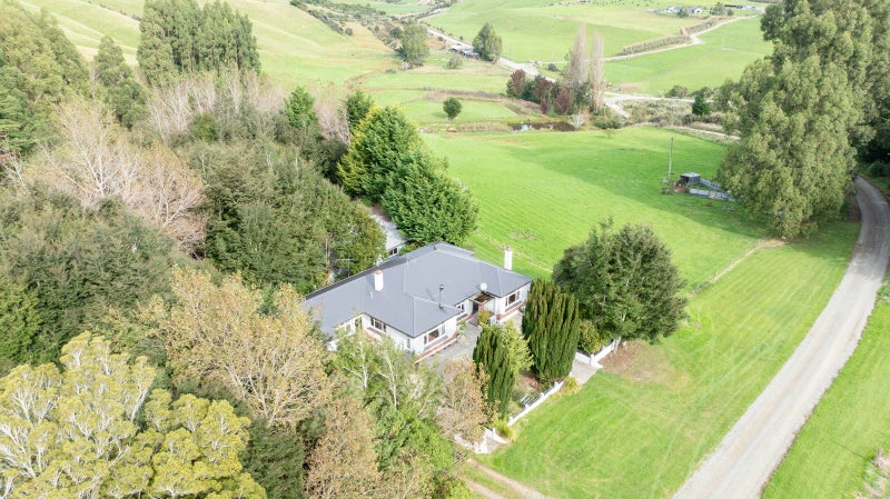 Image 1 of 38