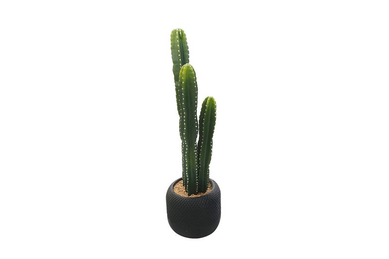 ARTIFICIAL Cactus Potted Plant (90cm Tall) Carousel 1