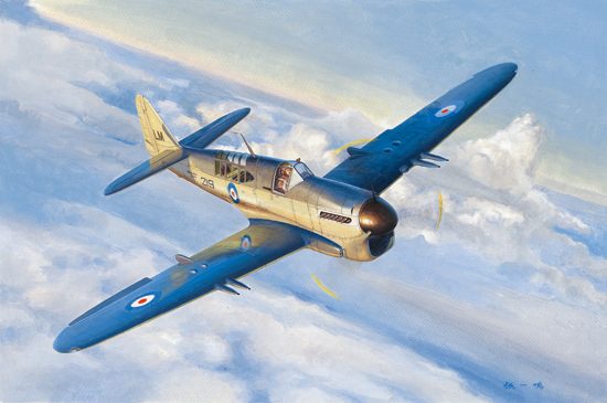 Fairey Firefly Mk. ITrumpeter | No. 05810 | 1:48 Carousel 1