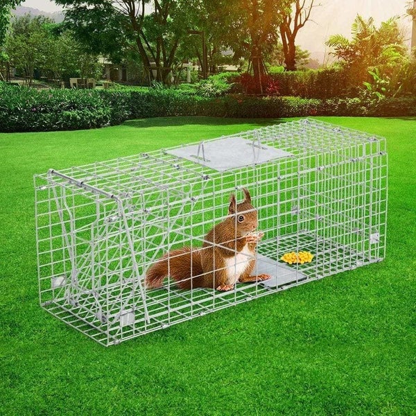 Goslash Picks Humane Animal Trap Cage 66 x 23 x 25cm - Silver Carousel 7