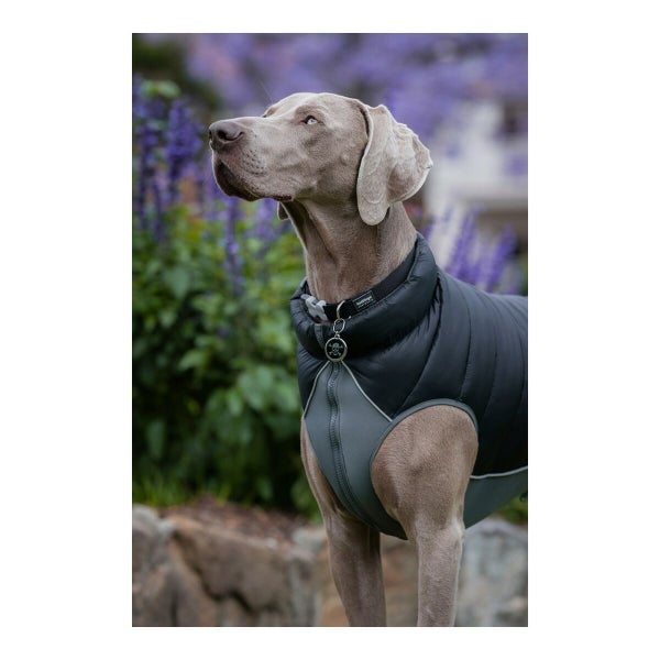 Dog Coat Red Dingo Puffer Black/Grey 40 cm Carousel 2