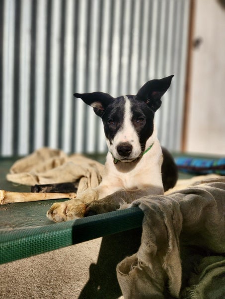 Skye - Chance 4 Change Carousel 1