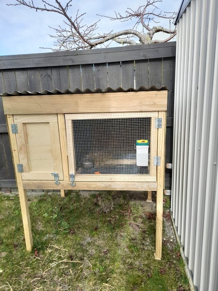 Rabbit Hutch Carousel 1