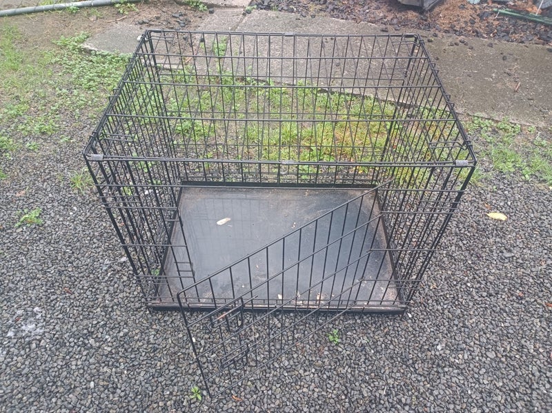 Medium dog crate Carousel 1