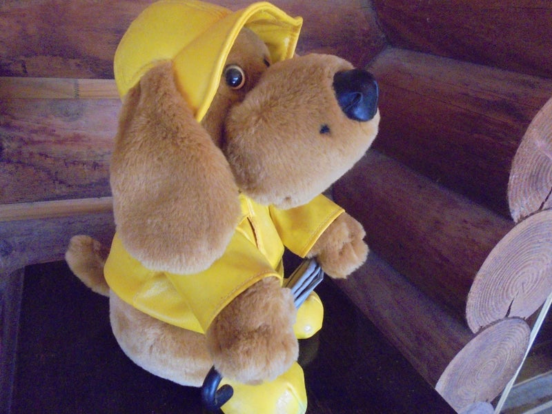 Dancing, singing, little dog Carousel 2