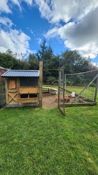 Six Lovely Ladies Seeking New Staff – Coop & All Included Carousel 10