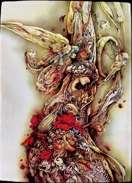 The Wind Between The Stars 1st Edition By Margaret Mahy + Brian Froud (Illus) Carousel 2