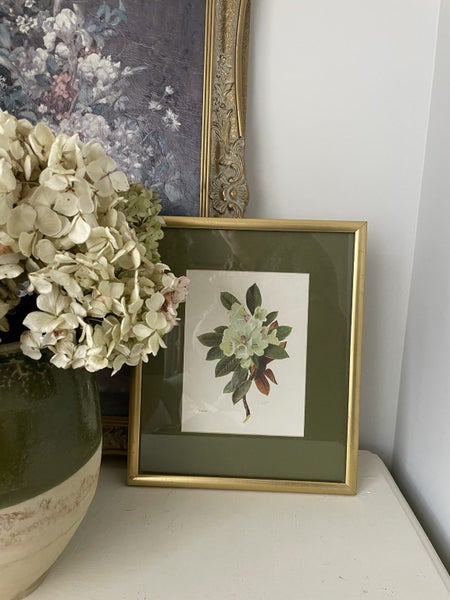 Beautiful Framed Botanical Carousel 1