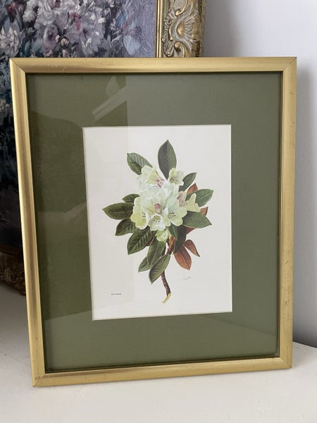 Beautiful Framed Botanical Carousel 5