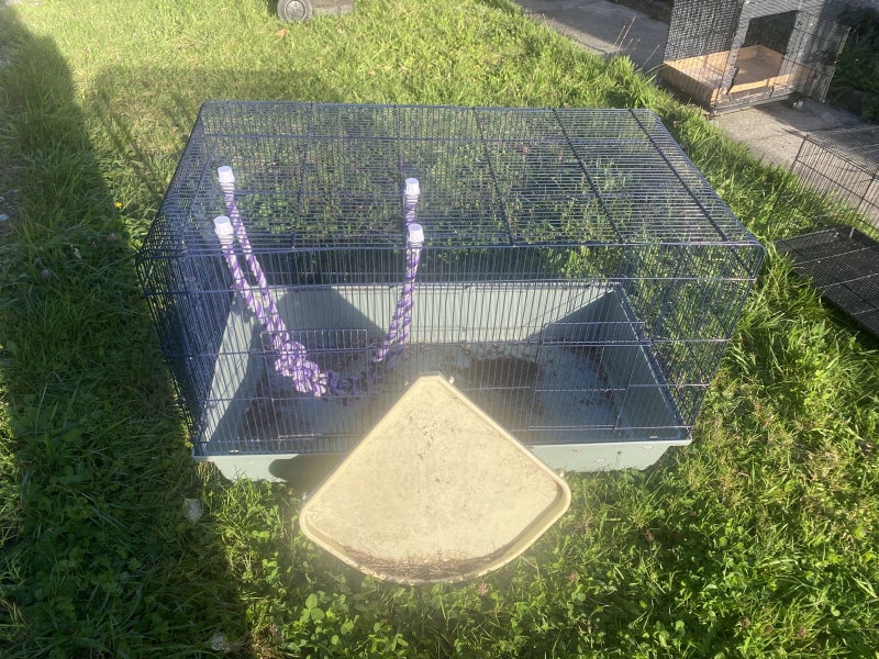 Strong Rat Cage - Maybe mice Carousel 2