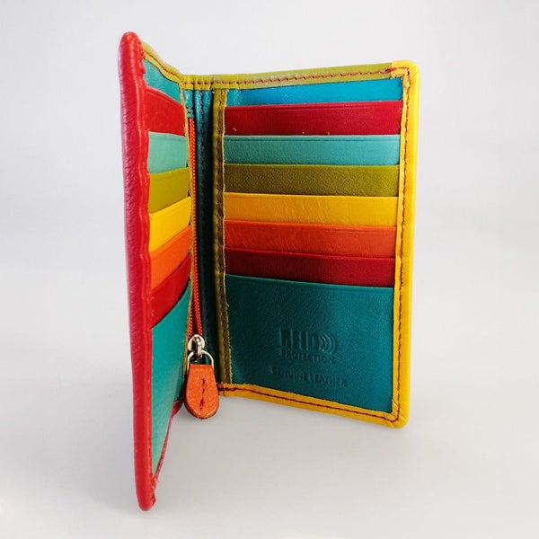 Multi-Coloured - Card Holder Carousel 3