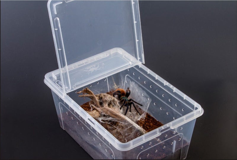 Large (32 x 22 x 15 cm) Terrarium, Transparent, Insect Reptile Amphibious box Carousel 8