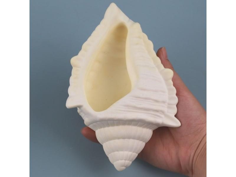 Shell Shape Concrete Flowerpot Mould For DIY Large Conch Succulent Planting Carousel 1