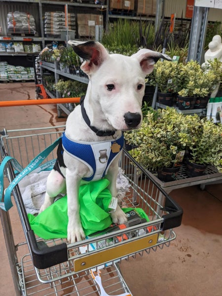 Scout - Chance 4 Change Carousel 2