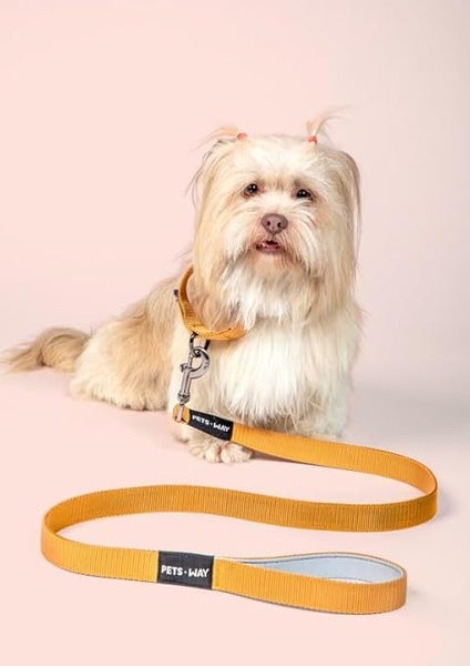 Dog Walking Leash Solid Color Leash Pet, Padded, Strong 4feet L / 2.5cm W Carousel 1