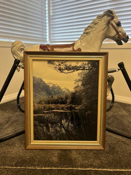 Vintage New Zealand Framed Photograph - moving house sale Carousel 1