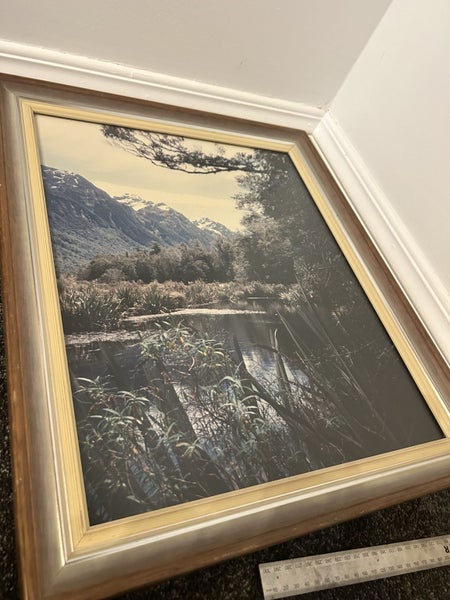 Vintage New Zealand Framed Photograph - moving house sale Carousel 2