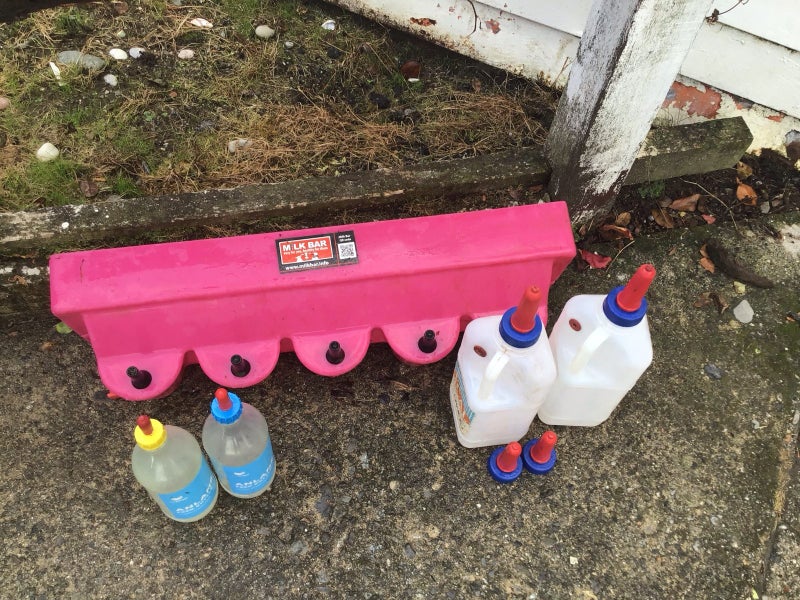 5 teat lamb feeder and calf and lamb bottles. Carousel 1