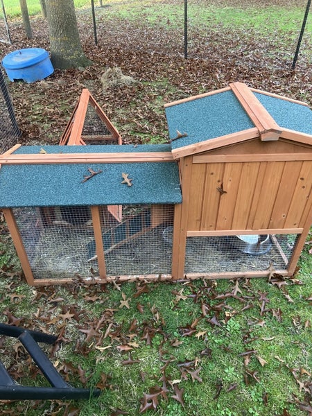 Rabbit Hutch Carousel 1