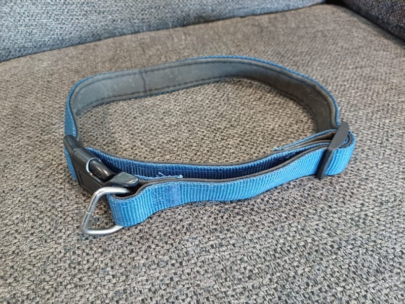 Large Dog Collar Carousel 2