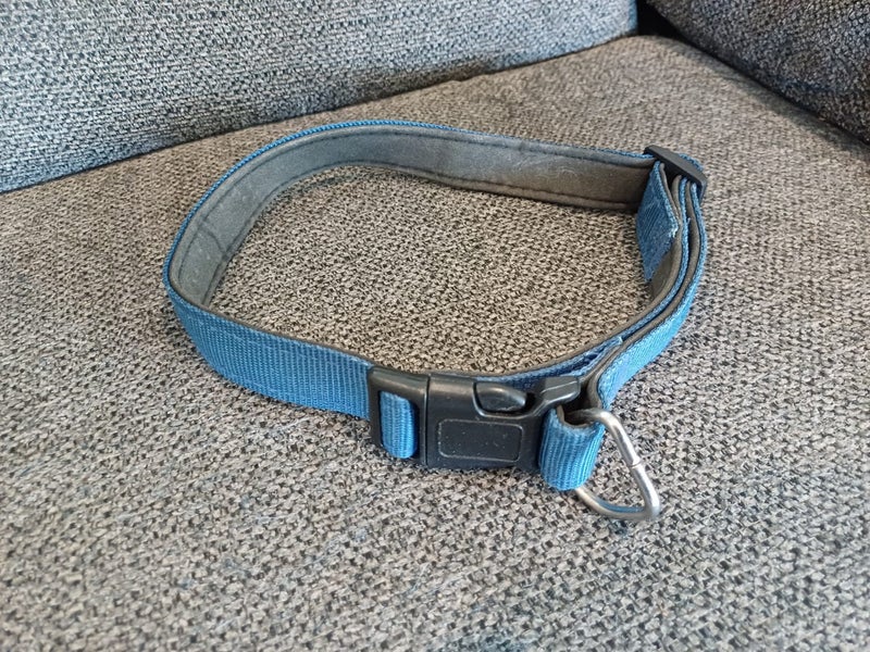 Large Dog Collar Carousel 1