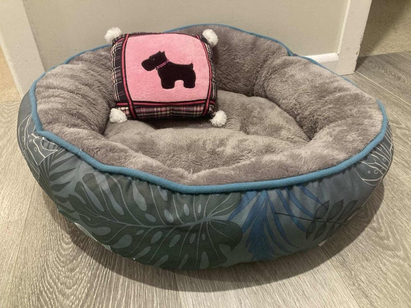 Cat/Small Dog bed with pillow~plant themed printed animal bed Carousel 1