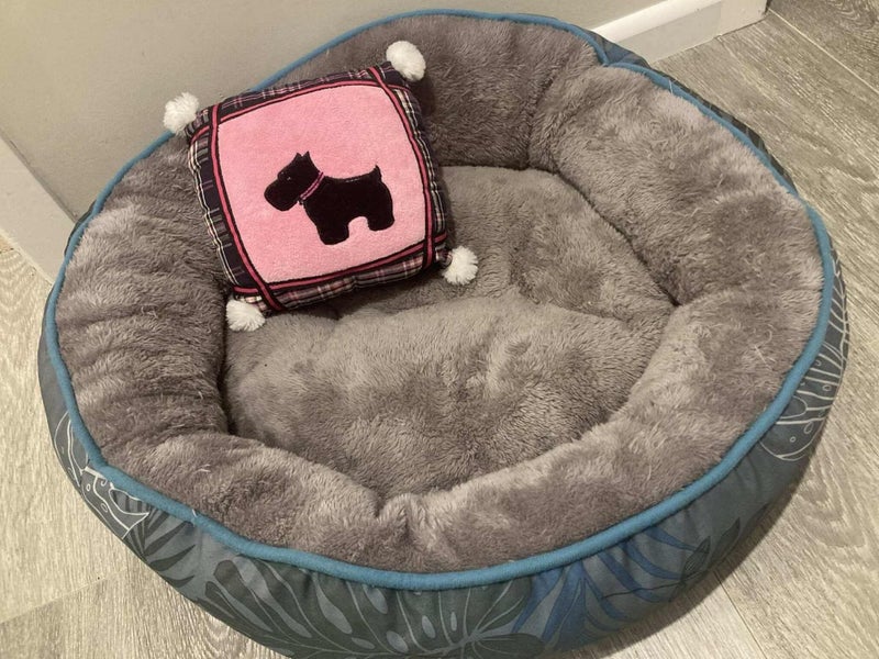 Cat/Small Dog bed with pillow~plant themed printed animal bed Carousel 2