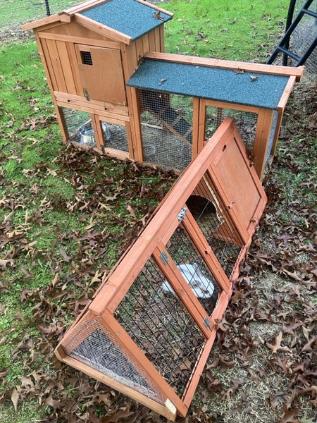 Rabbit Hutch Carousel 2