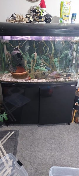 Aqua One 980t Carousel 1