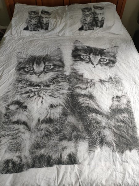 Cats kittens Domani white King Single duvet cover set Carousel 1