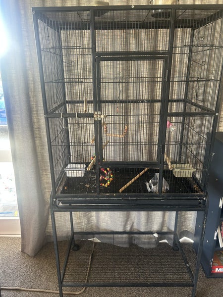 Birdcages Carousel 2