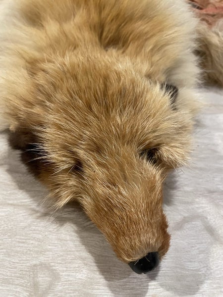 Antique red fox fur stole Carousel 6