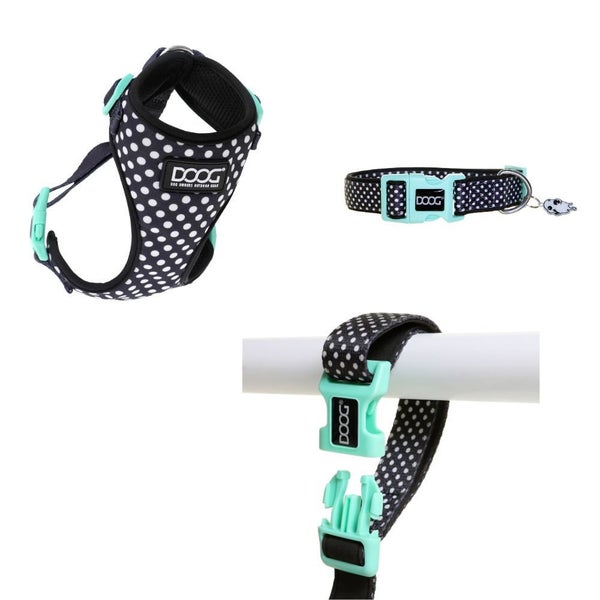 Pongo Co-ordinates by DOOG Carousel 1