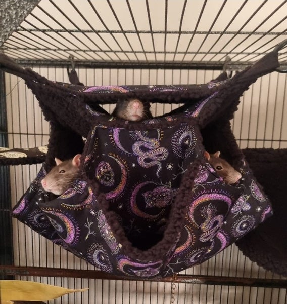 Four Tier Rat Hammock - Choose your own design Carousel 1