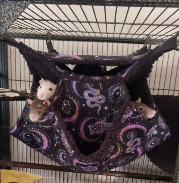 Four Tier Rat Hammock - Choose your own design Carousel 2