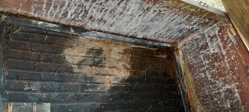 Rabbit cage needs fixing Carousel 4