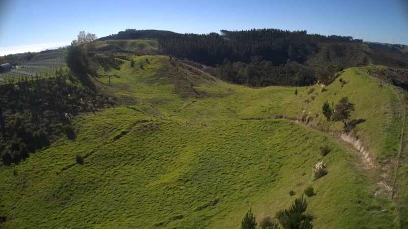 Image 3 of 25