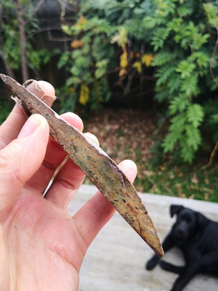 Pounamu Greenstone Nelson Jade RAUKARAKA carving slab $1 reserve MAY DEALS Carousel 6