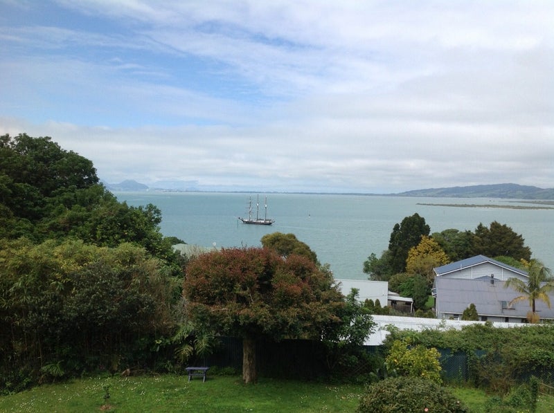Image 1 of 16